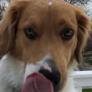 Meet your Posher, Matt